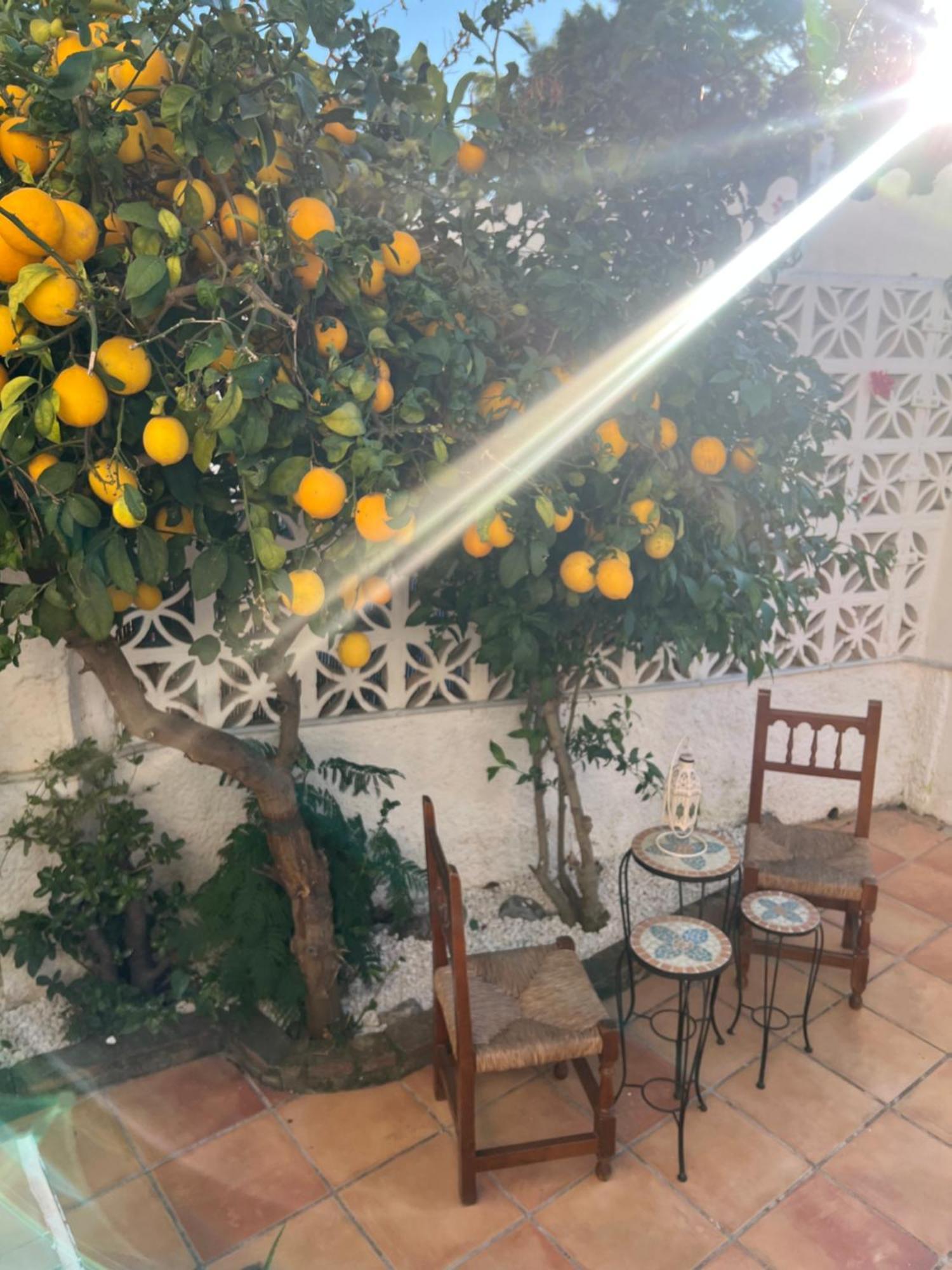 Vakantiehuis Casa Golf Mediterraneo *